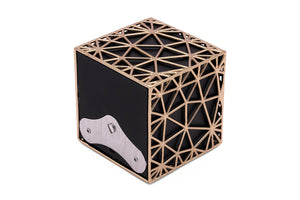 Watch Winder - Voronoi-3-Le Remontoir